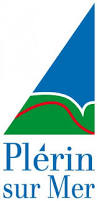 logo plerin